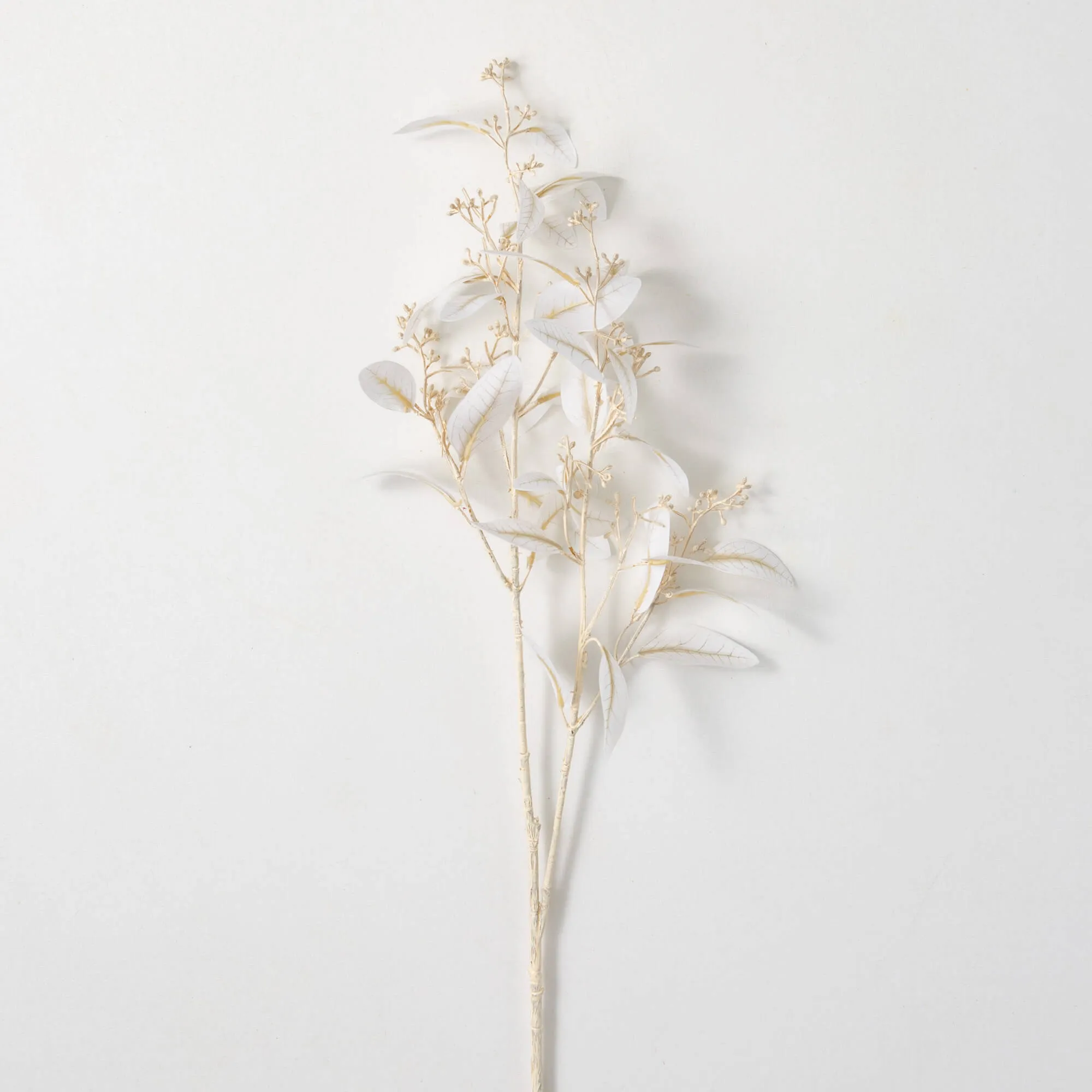 33.5"H Sullivans Soft Dusty White Eucalyptus, White