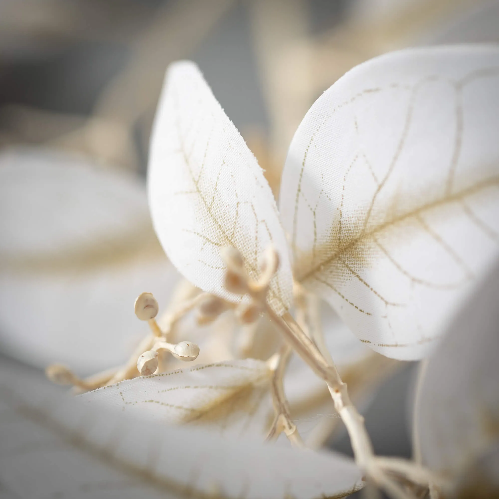 33.5"H Sullivans Soft Dusty White Eucalyptus, White