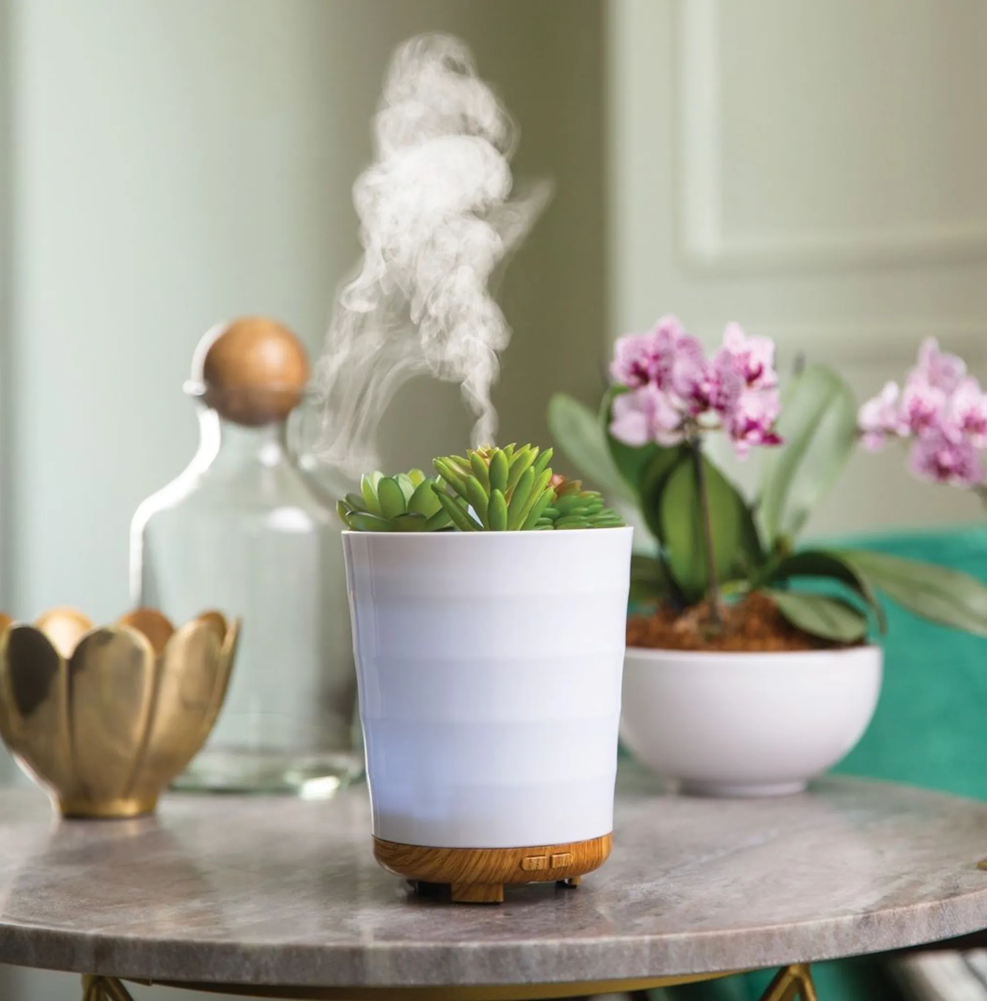 Assorted   VF Aroma Water Diffuser Oil 10 ml