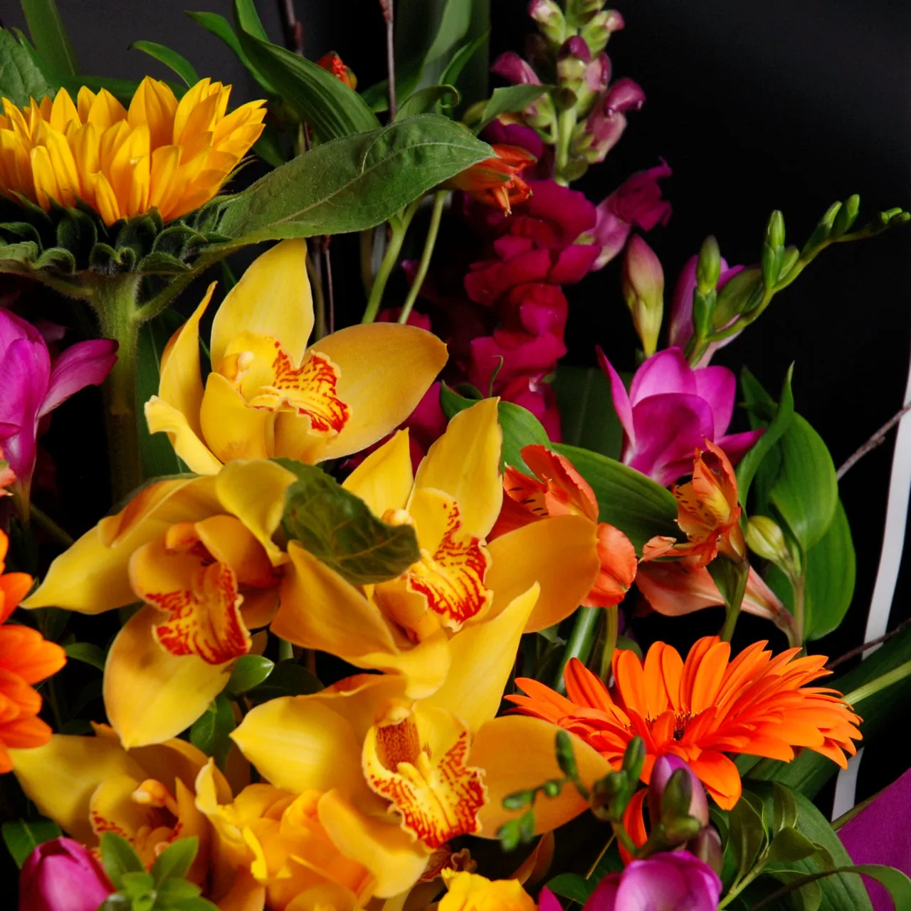 Bright Vox - Bright Blooms in a Water-filled box