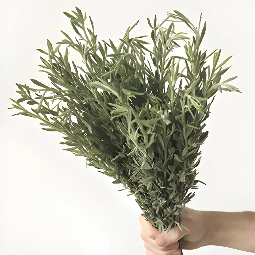 Cottage Garden Lavender Greens
