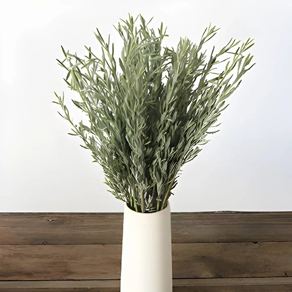 Cottage Garden Lavender Greens