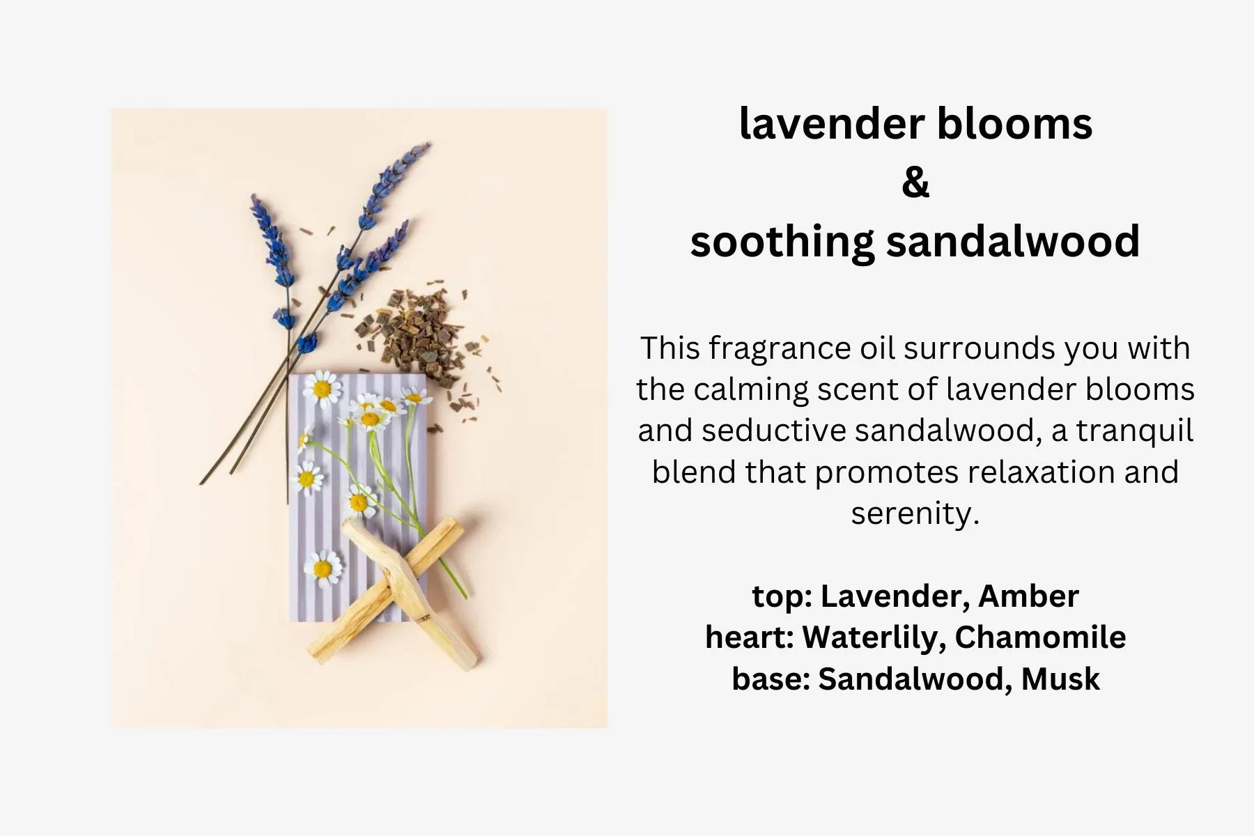 Lavender Fragrance Line - Body Butter - Body Lotion - Variety Bundle Box