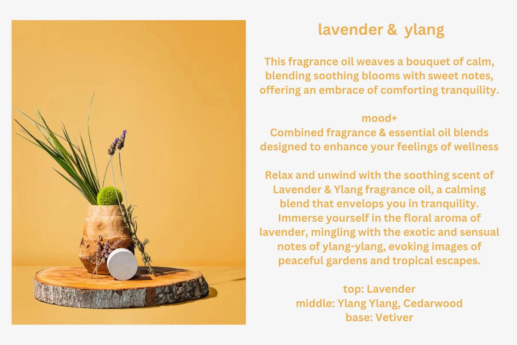 Lavender Fragrance Line - Body Butter - Body Lotion - Variety Bundle Box