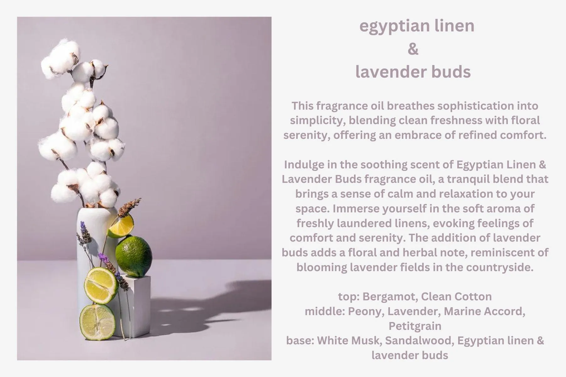 Lavender Fragrance Line - Body Butter - Body Lotion - Variety Bundle Box