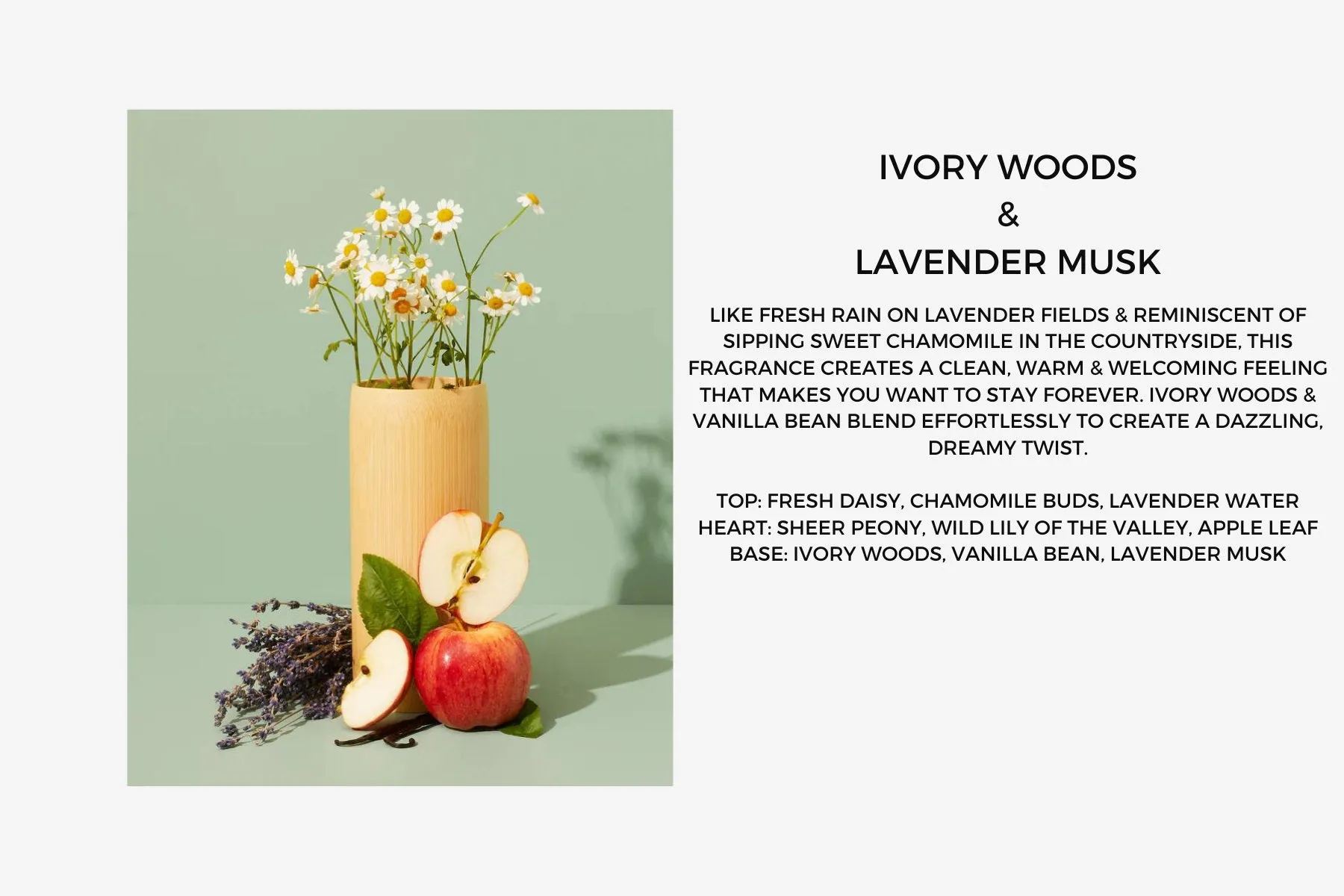 Lavender Fragrance Line - Body Butter - Body Lotion - Variety Bundle Box