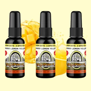 Mango Lemon Yellow Air Freshener Bundle (3 Pack)