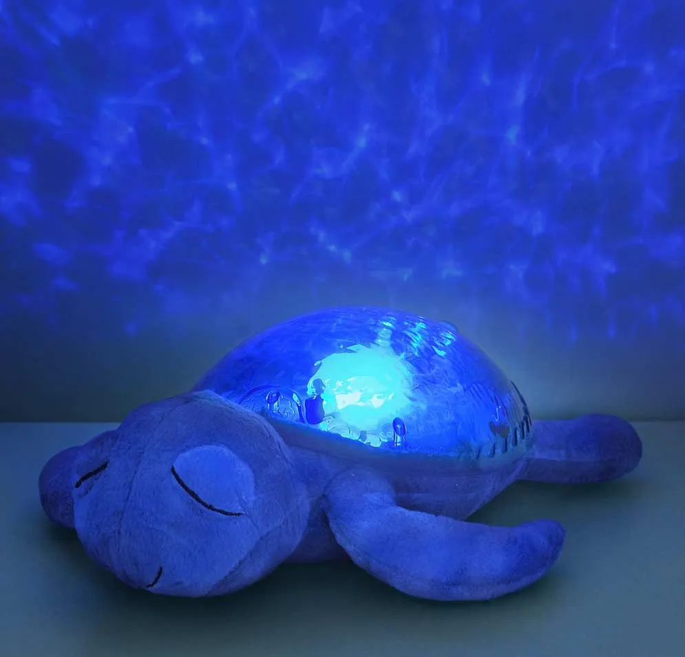 Tranquil Turtle Ocean